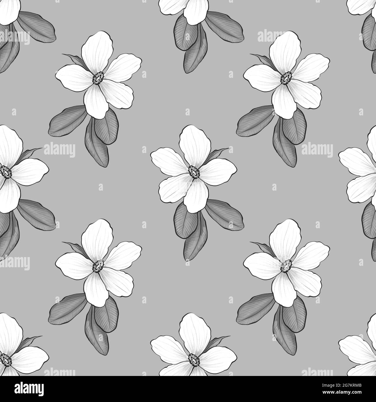Black and white floral endless pattern hi-res stock photography and ...
