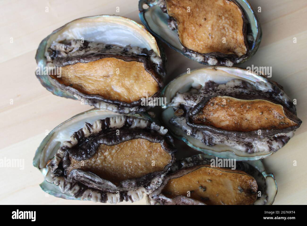 Fresh live abalones Stock Photo