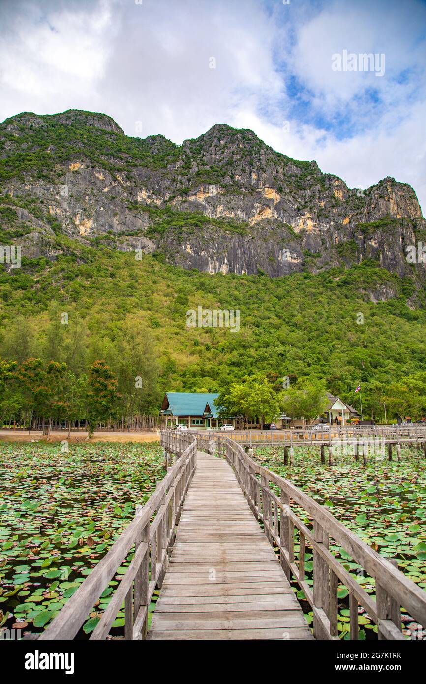 Sam Roi Yot Freshwater Marsh, Walk over the marsh, Bueng Bua Wood Boardwalk in Sam Roi Yot national park in Prachuap Khiri Khan, Thailand Stock Photo