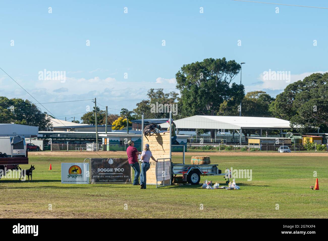 Dog jumping competition at the Redcliffe Show in Queensland, Australia Stock Photo