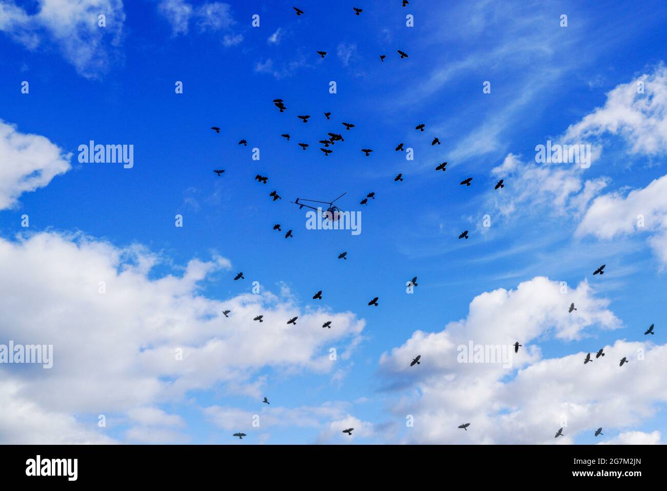 Blue cloudy sky with a helicopter and birds Stock Photo - Alamy