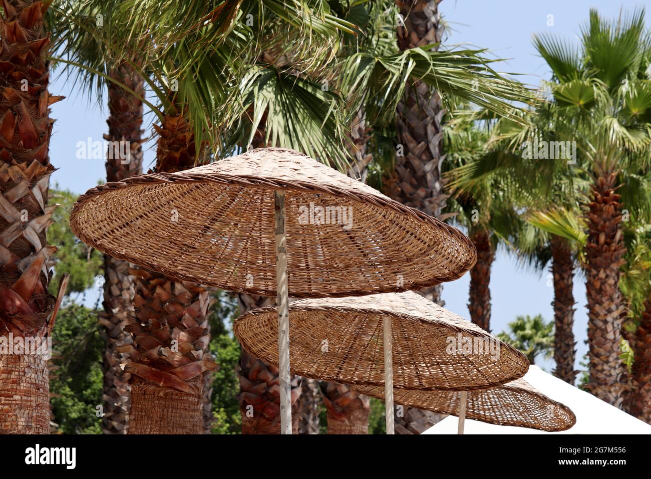 Tropical vacation, sun umbrellas and palm trees on sky background. Summer holidays on paradise nature, sea beach resort Stock Photo