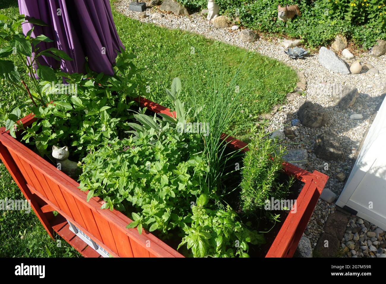 Greenery growing in a pot in the garden of a house Stock Photo Alamy