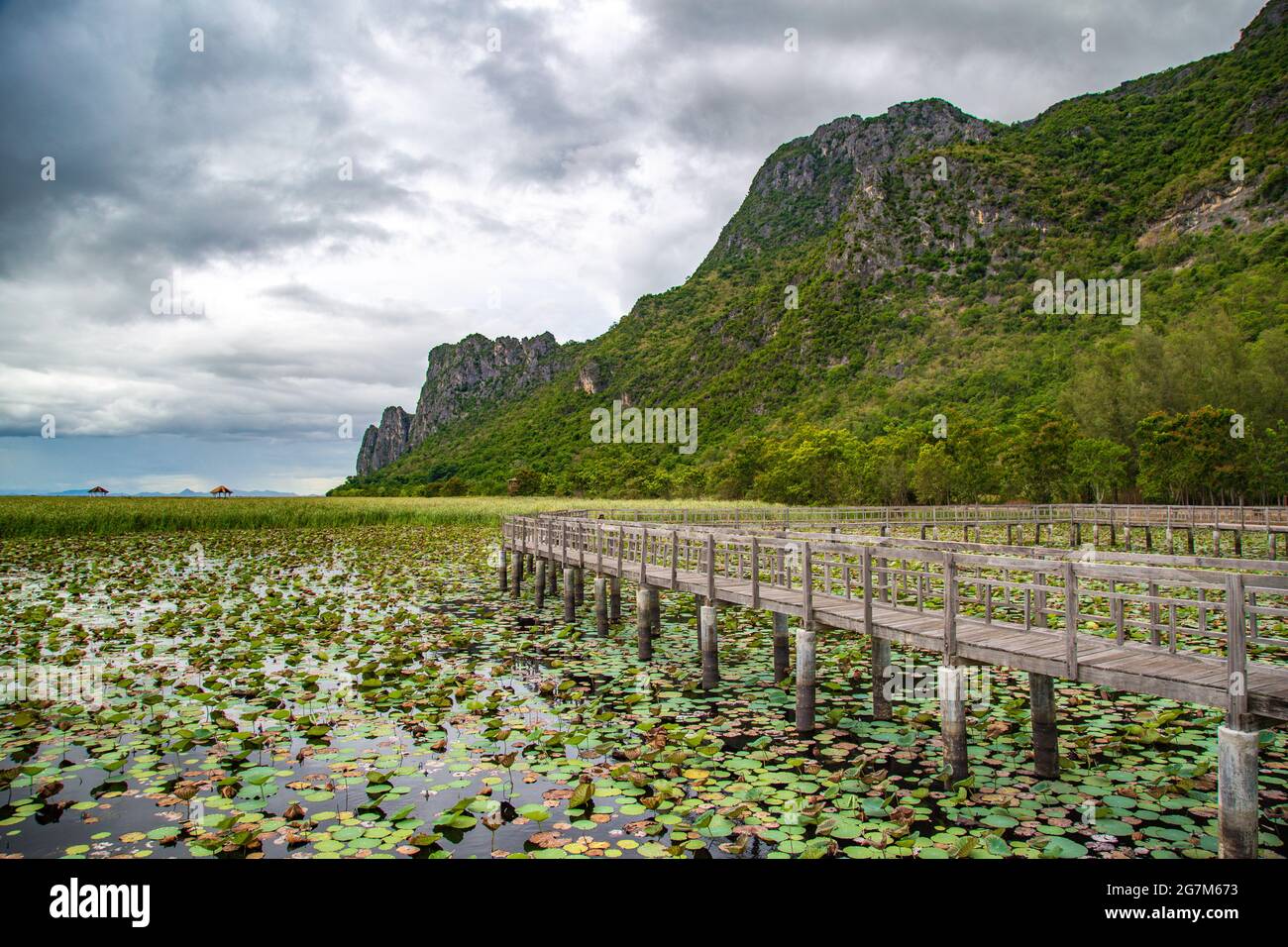 Sam Roi Yot Freshwater Marsh, Walk over the marsh, Bueng Bua Wood Boardwalk in Sam Roi Yot national park in Prachuap Khiri Khan, Thailand Stock Photo