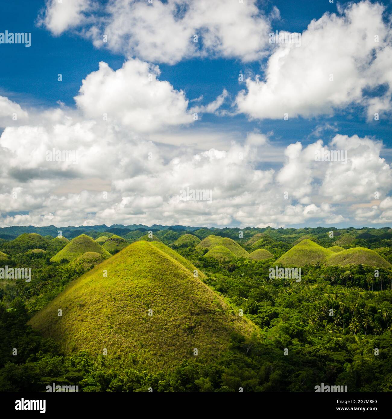 Vertical shot of the Chocolate Hills Natural Monument in the