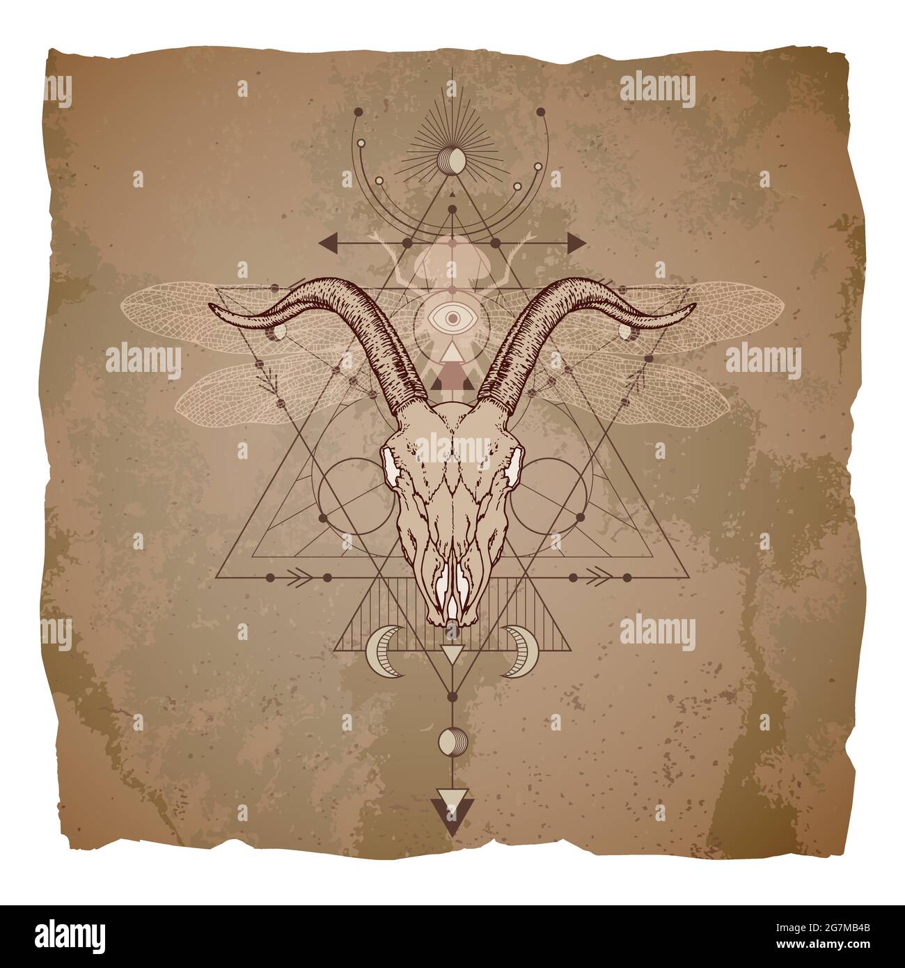 Vector illustration with hand drawn goat skull, dragonfly and Sacred geometric symbol on vintage paper background with torn edges. Abstract mystic sig Stock Vector