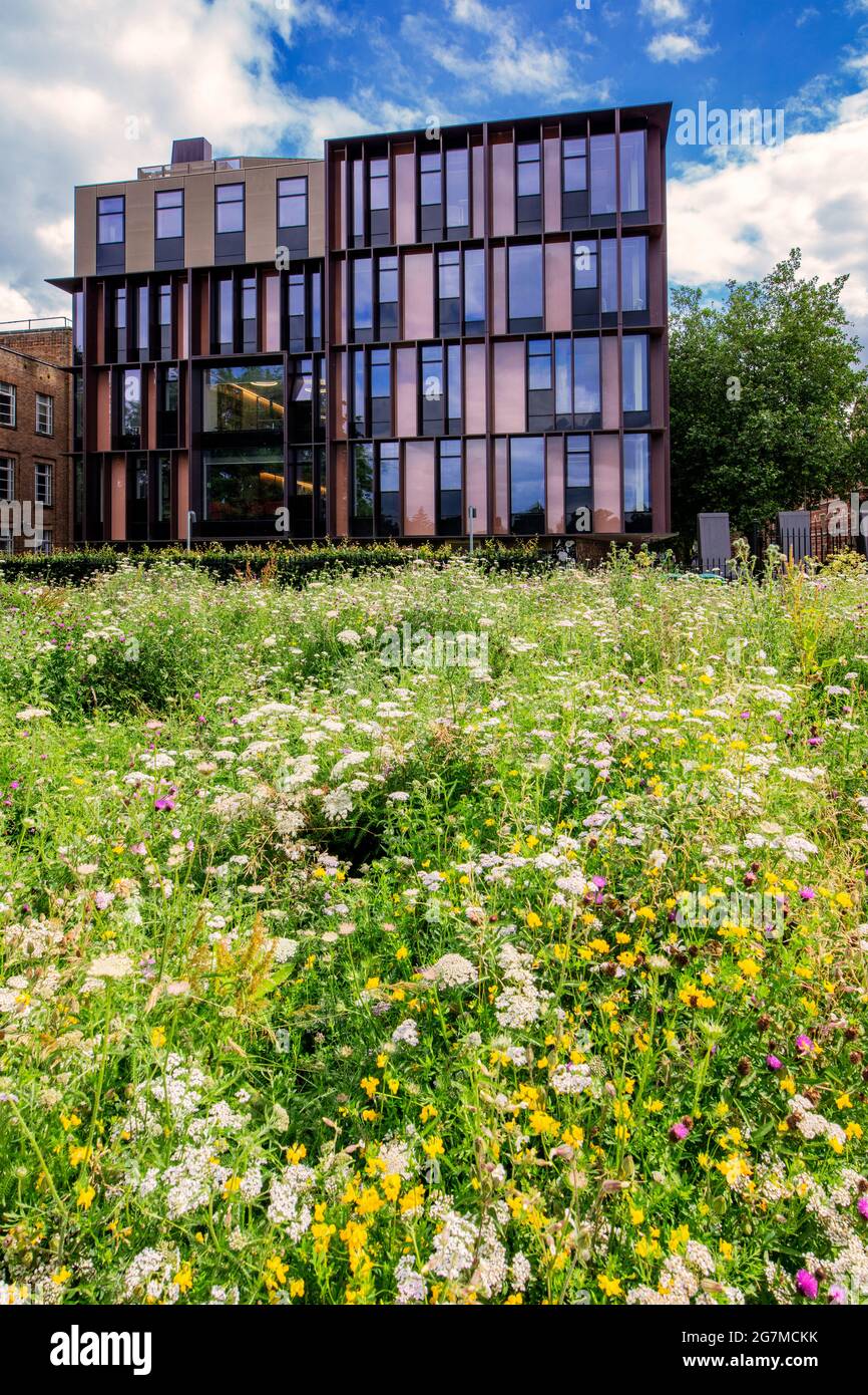The beecroft building seen from the university parks oxford part of
