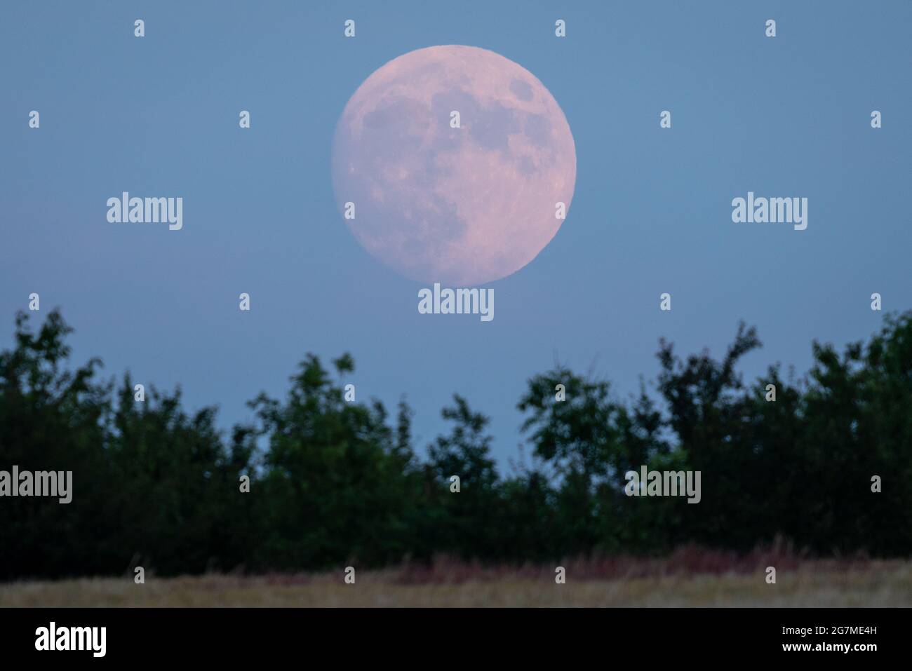 UK Weather Strawberry Moon 98.7 Waxing Gibbous rises over rural