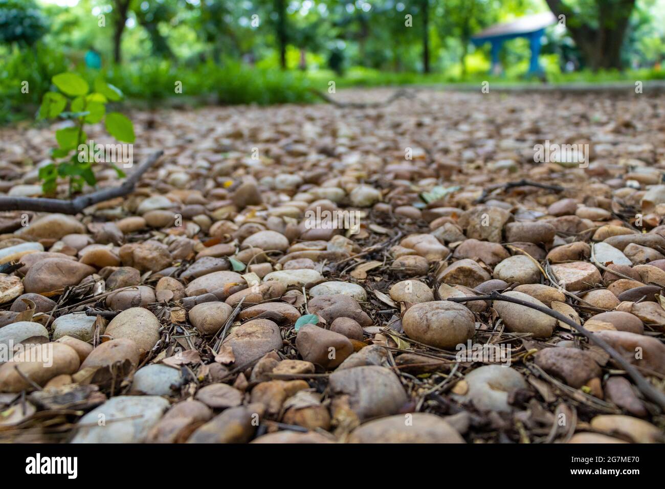 Pebbles on public park Stock Photo