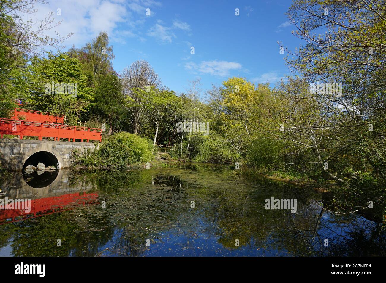 Edinburgh botanical gardens Stock Photo