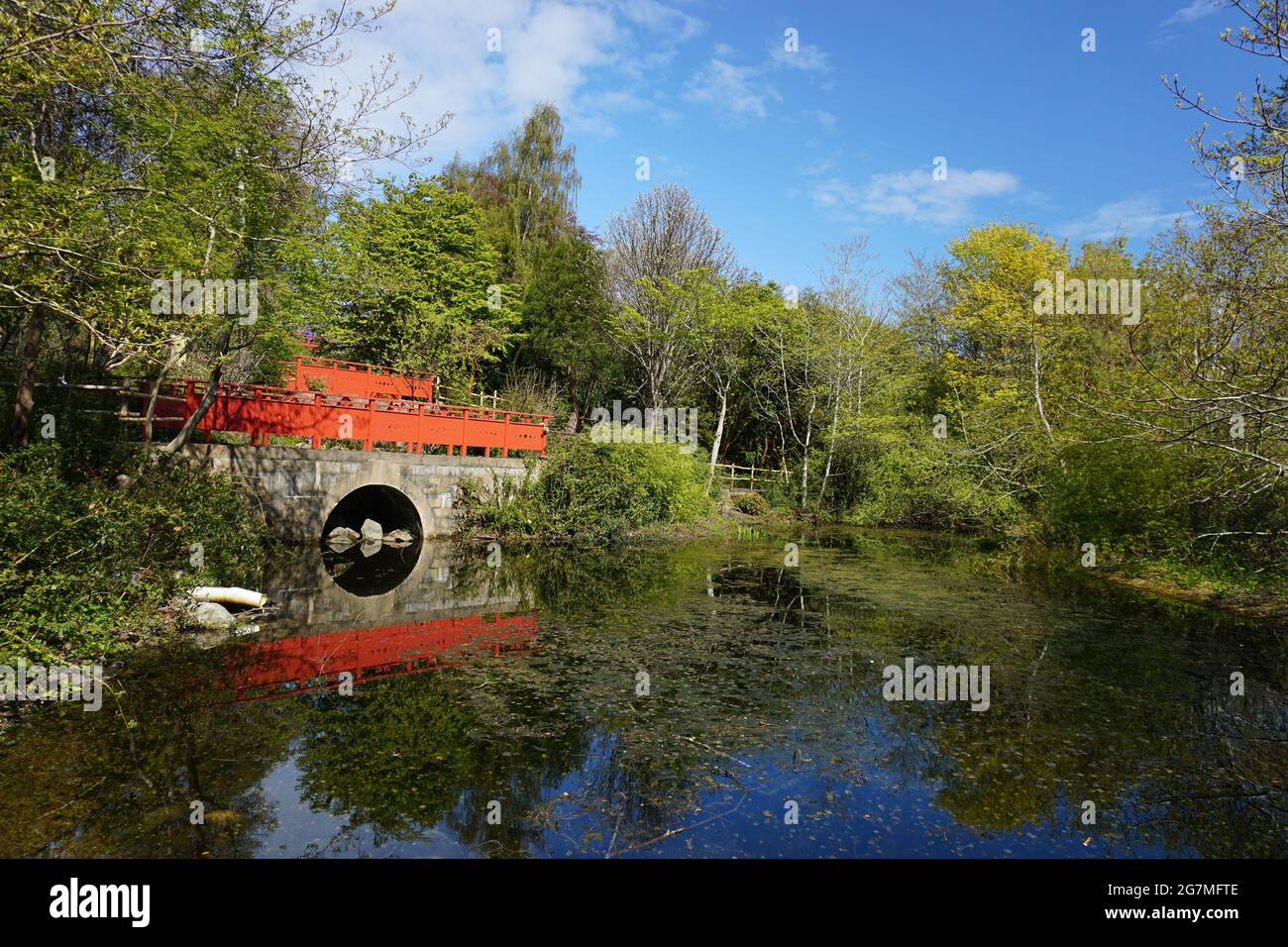 Edinburgh botanical gardens Stock Photo