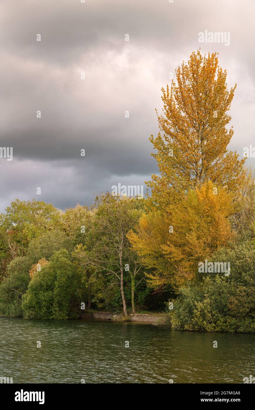 View across the lake at Neighbridge Country Park in the Cotswold Water Park. Stock Photo