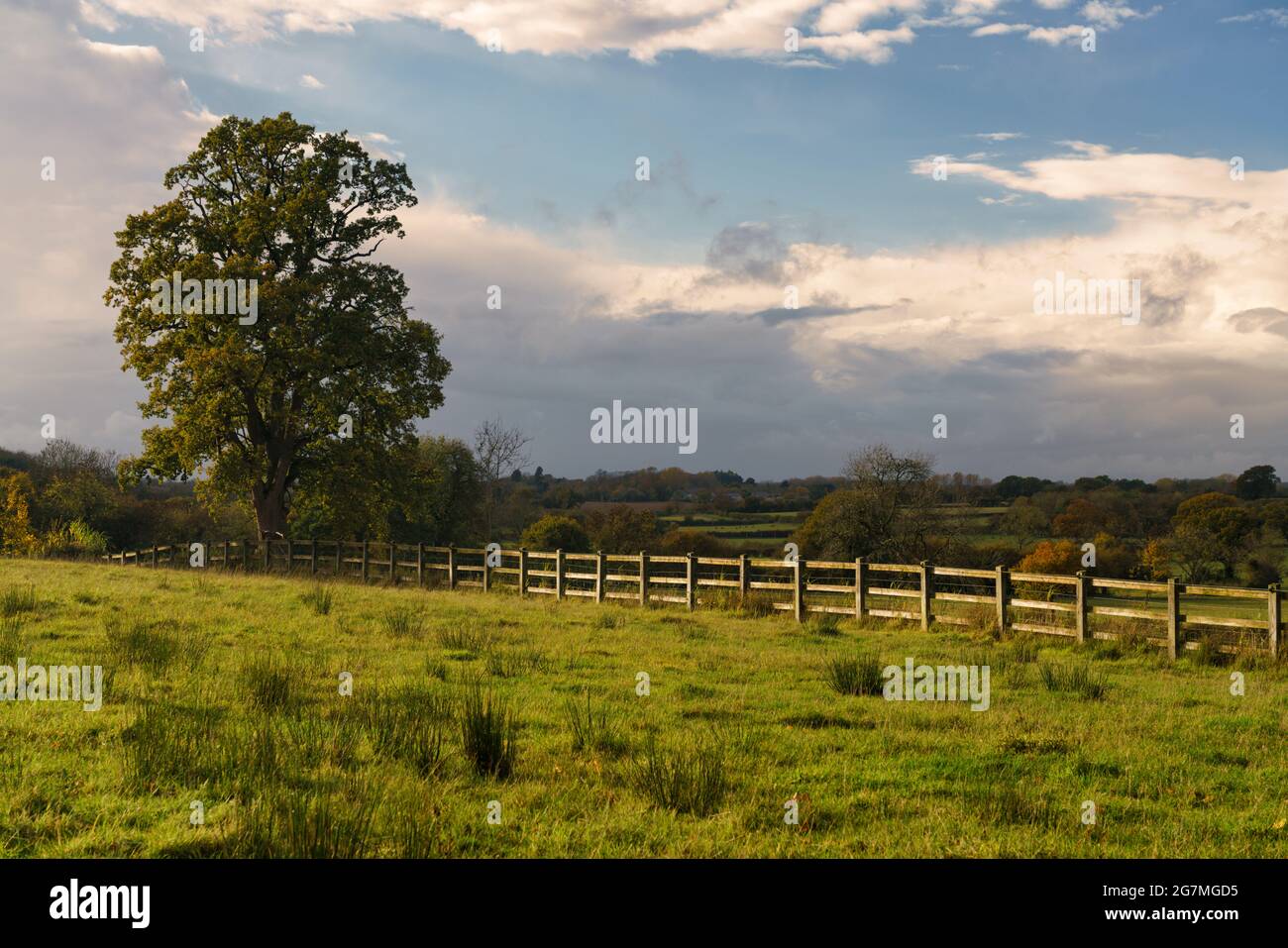 View of a fenced paddock in evening sunlight. Stock Photo