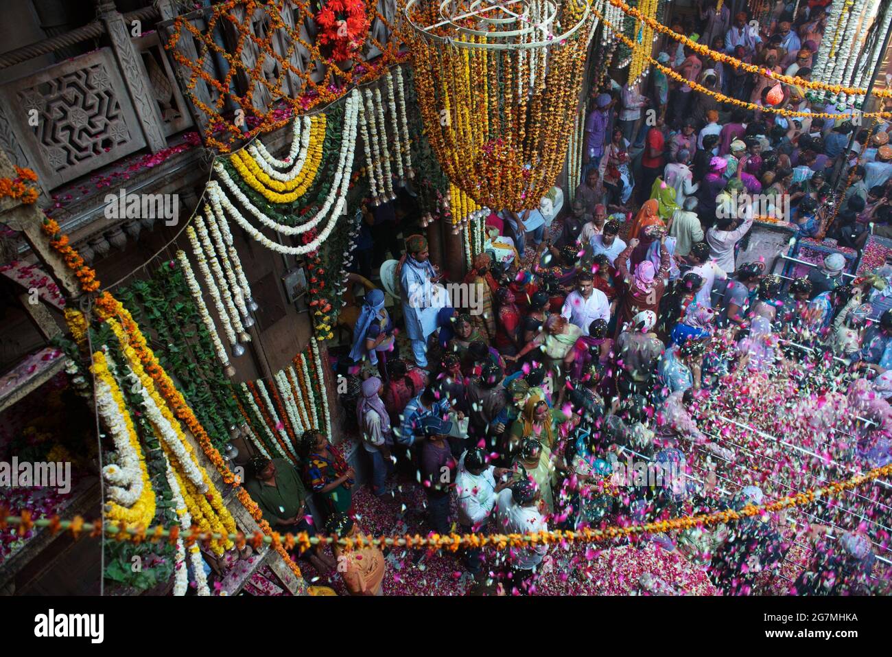 Flower petals rain down on devotees and revellers gathered at the Bankey Bihari Temple in Vrindavan during the opening of a 5 day festival of worship Stock Photo