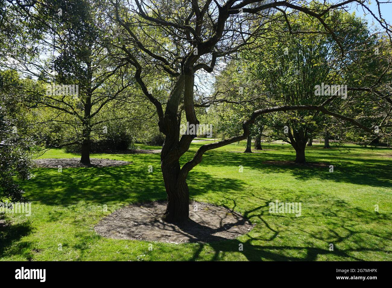 Edinburgh botanical gardens Stock Photo - Alamy