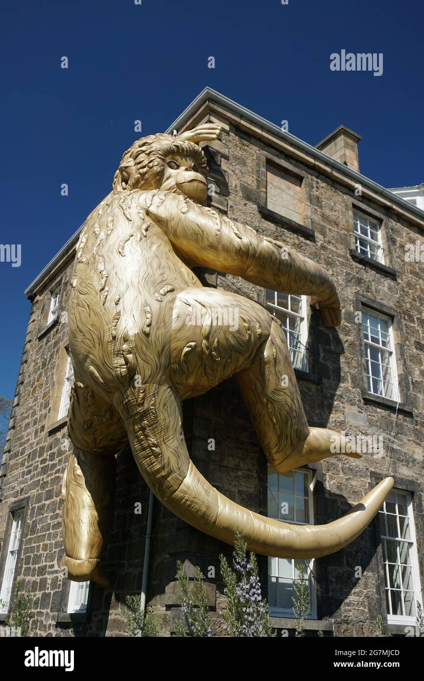 Edinburgh botanical gardens Stock Photo Alamy