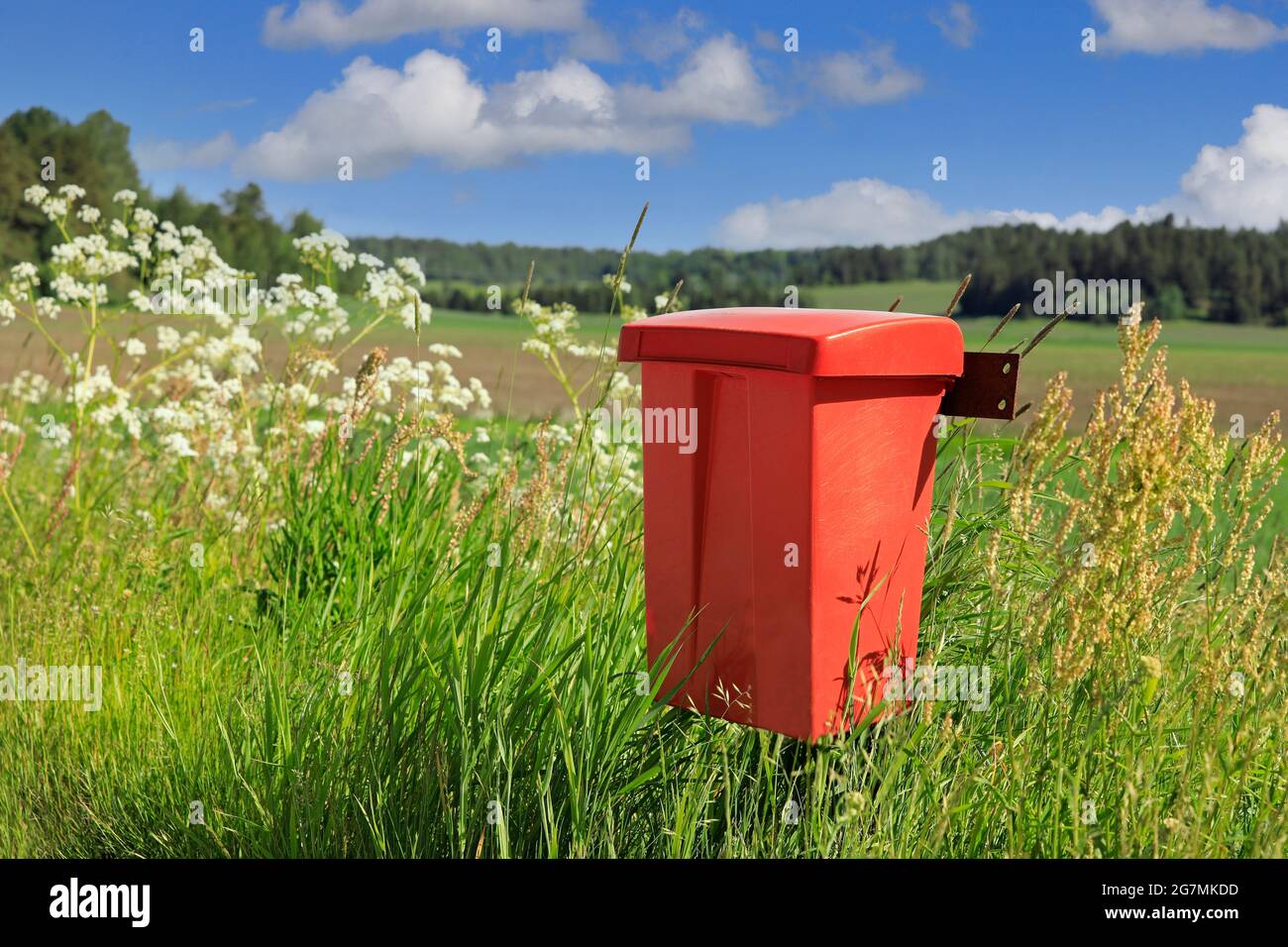 Red roadside mailbox in the country on a beautiful day of summer with flowering plants, green grass and blue sky with clouds. Stock Photo