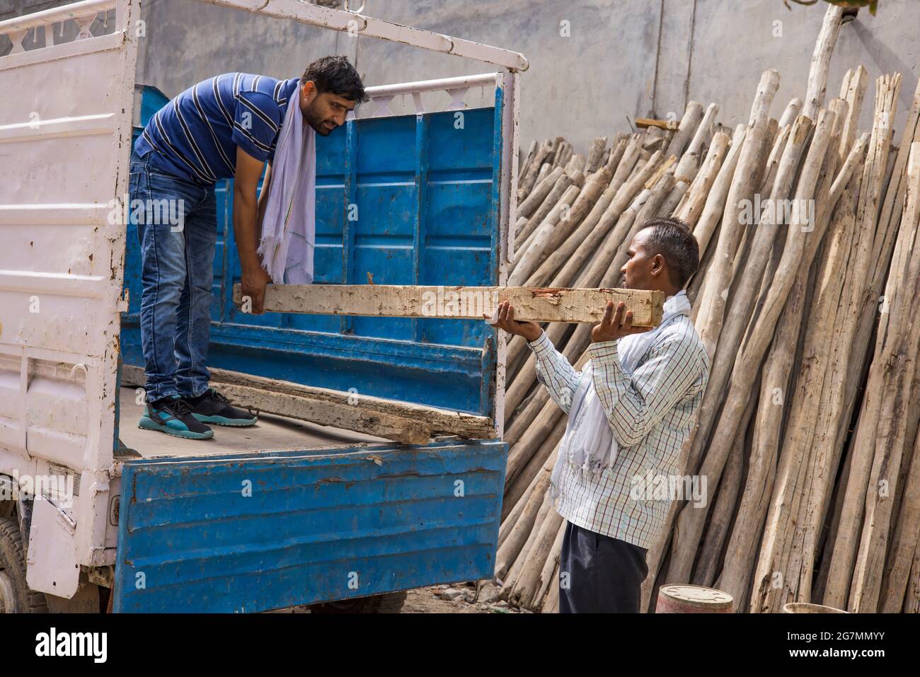 TWO WORKERS UNLOADING A TRUCK WITH WOODEN POLES Stock Photo