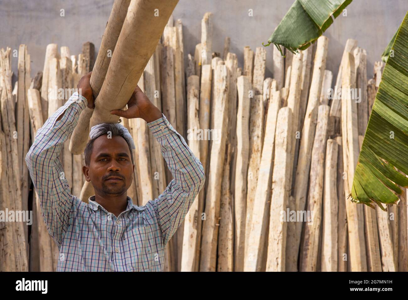 A LABOURER CARRYING WOODEN POLES ON HEAD LOOKING AT CAMERA Stock Photo