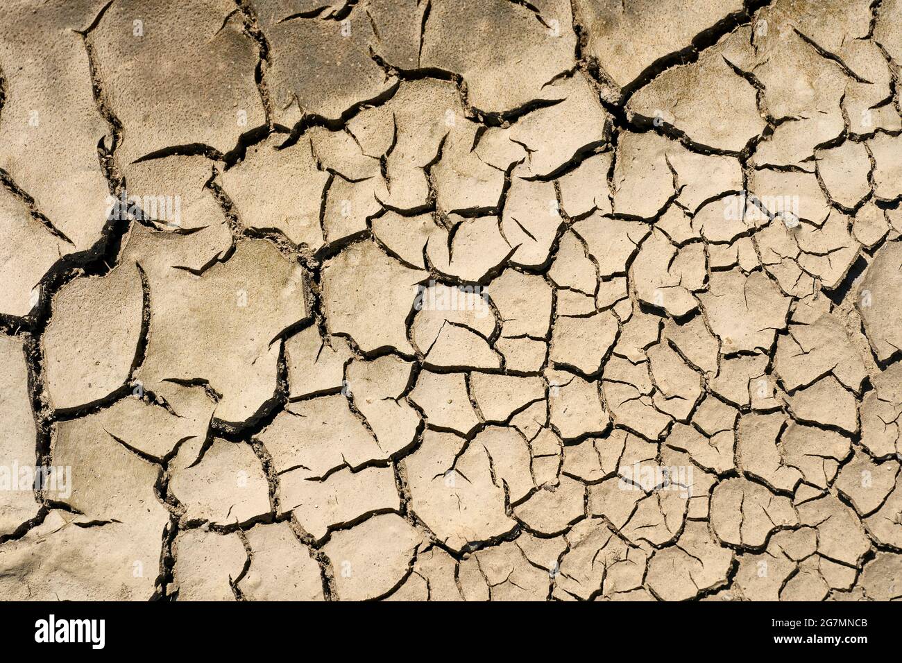 Cracked Dry Barren Earth. Fehraltorf, Switzerland Stock Photo