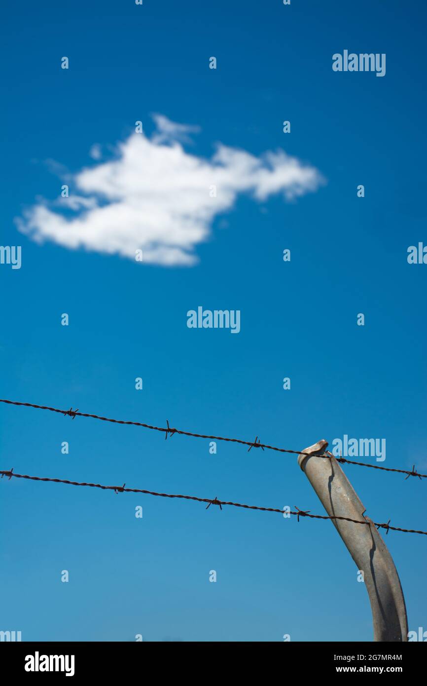 Two rows of barbed wire and a fence post, with white cloud and blue sky ...