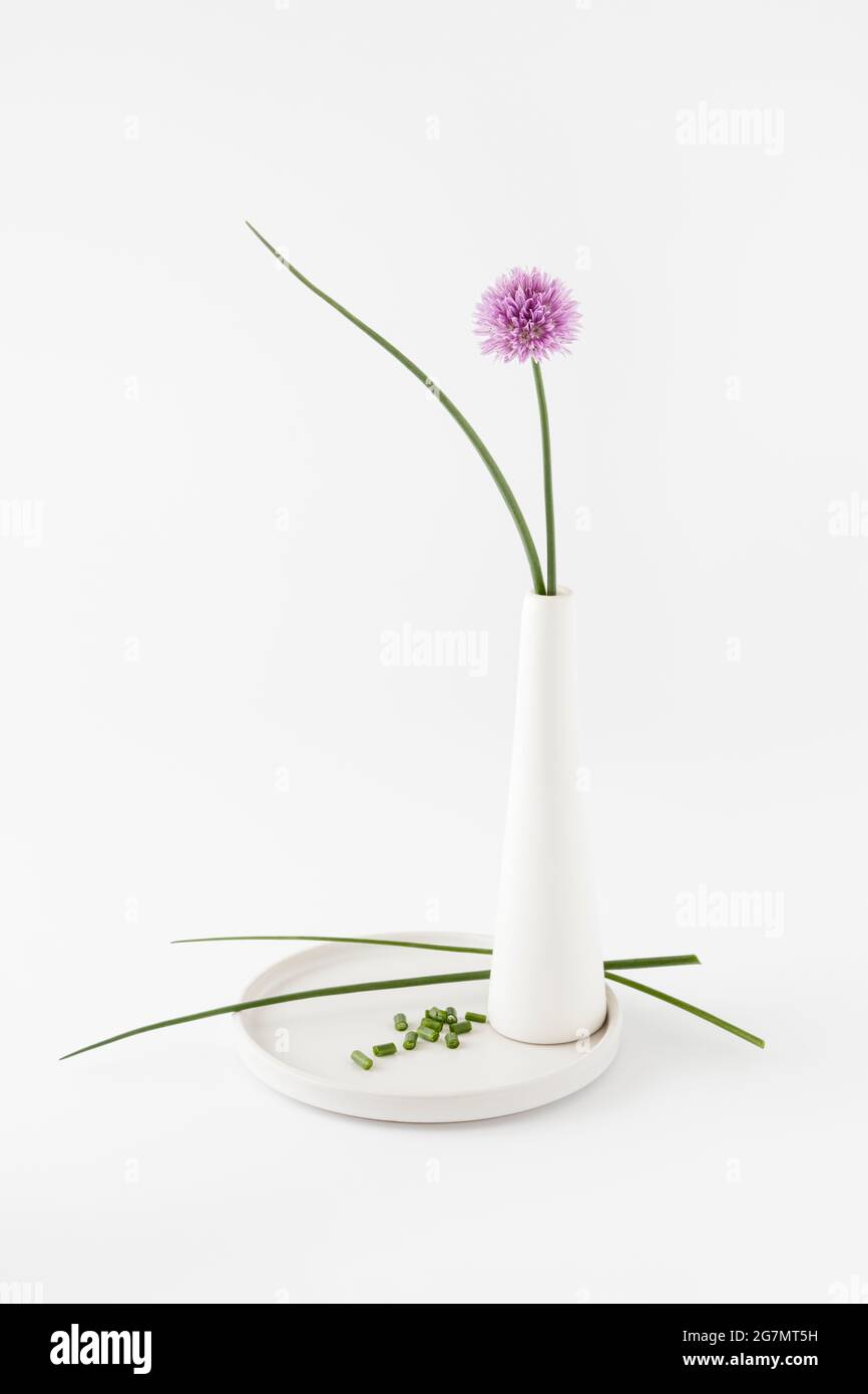 Chives in white vase on white background Stock Photo