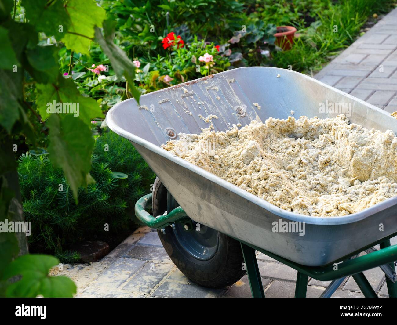 Garden wheelbarrow with sand standing in backyard. Summer time Stock