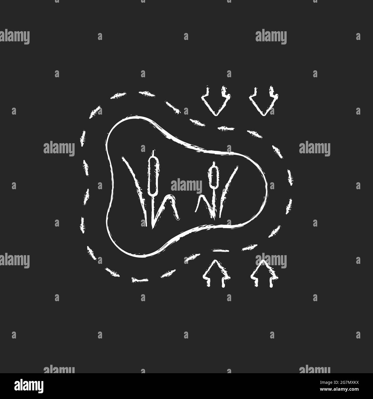 Disappearing wetlands chalk white icon on dark background Stock Vector ...