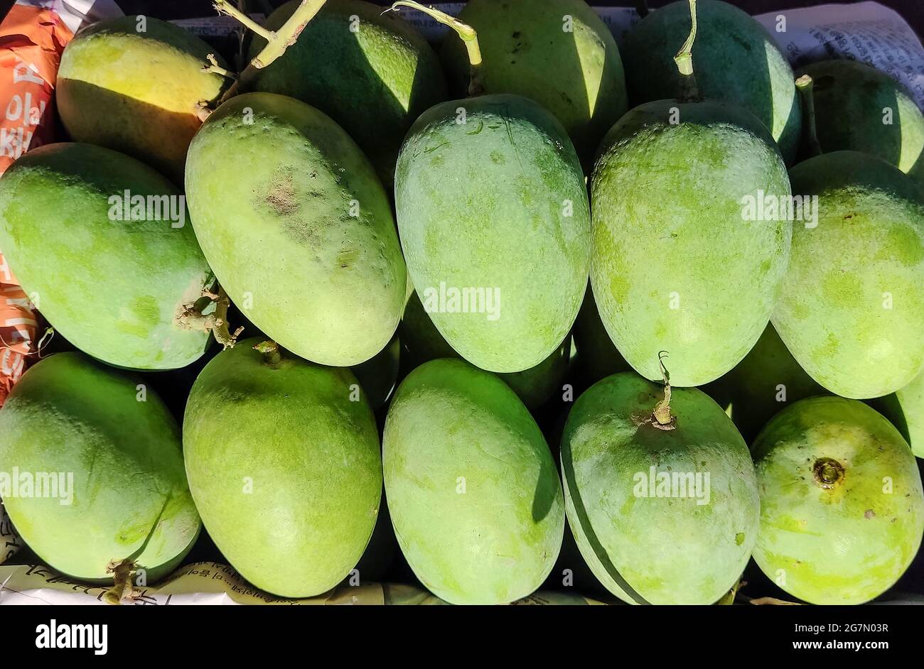 Top view of green unripe mangoes stack on each other in a box Stock