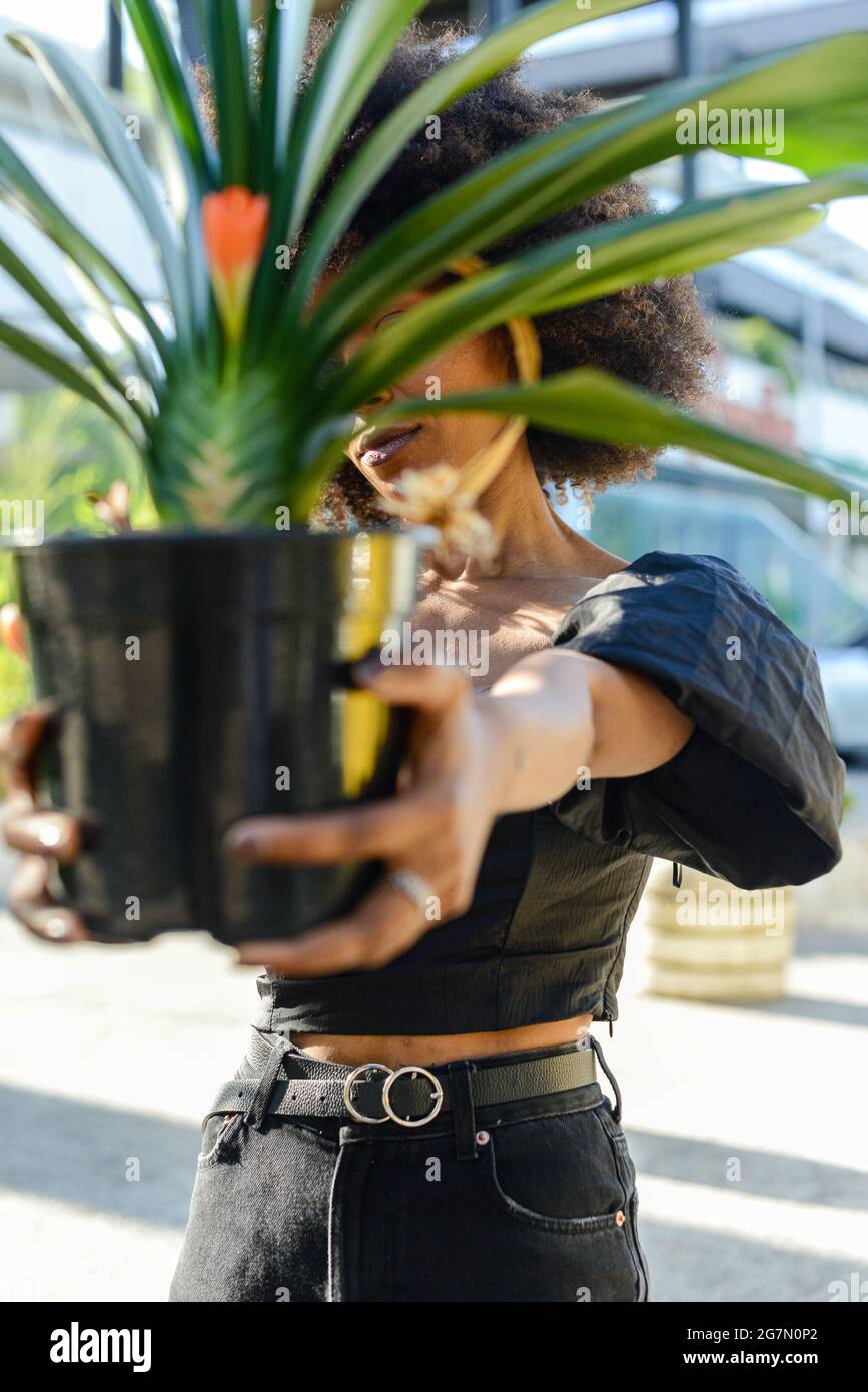 Beautiful Afroamerican female showing a pot of Clivia plant on background of an urban building Stock Photo