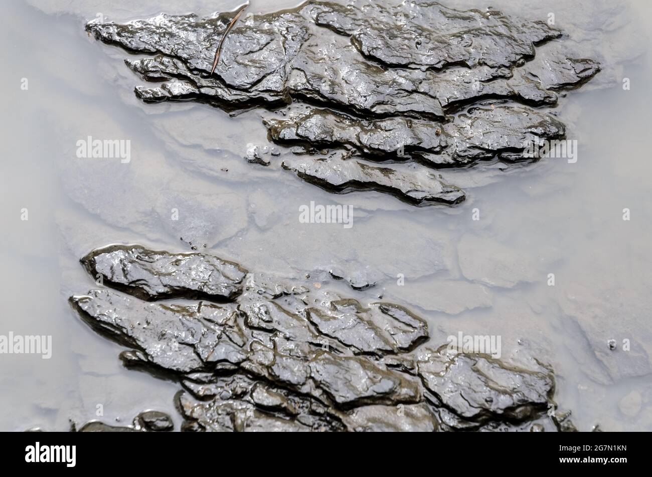 Wet rock in a puddle of water Stock Photo Alamy