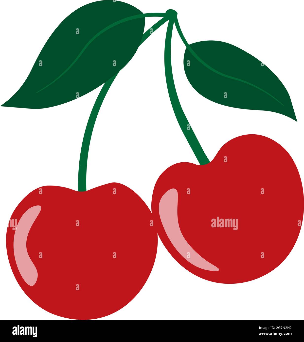 red fresh cherries isolated on white background, vector illustration Stock Vector