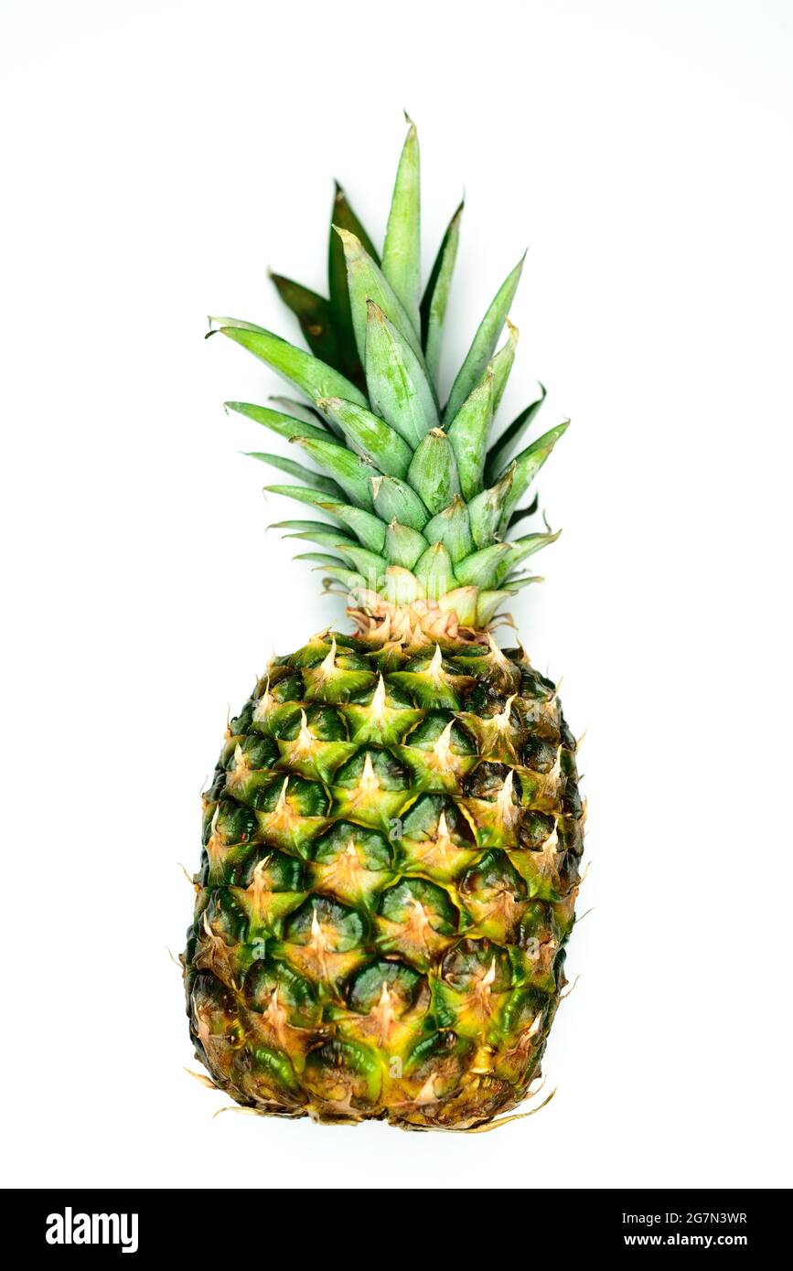 Pineapple -(Ananas comosus) on white background Stock Photo