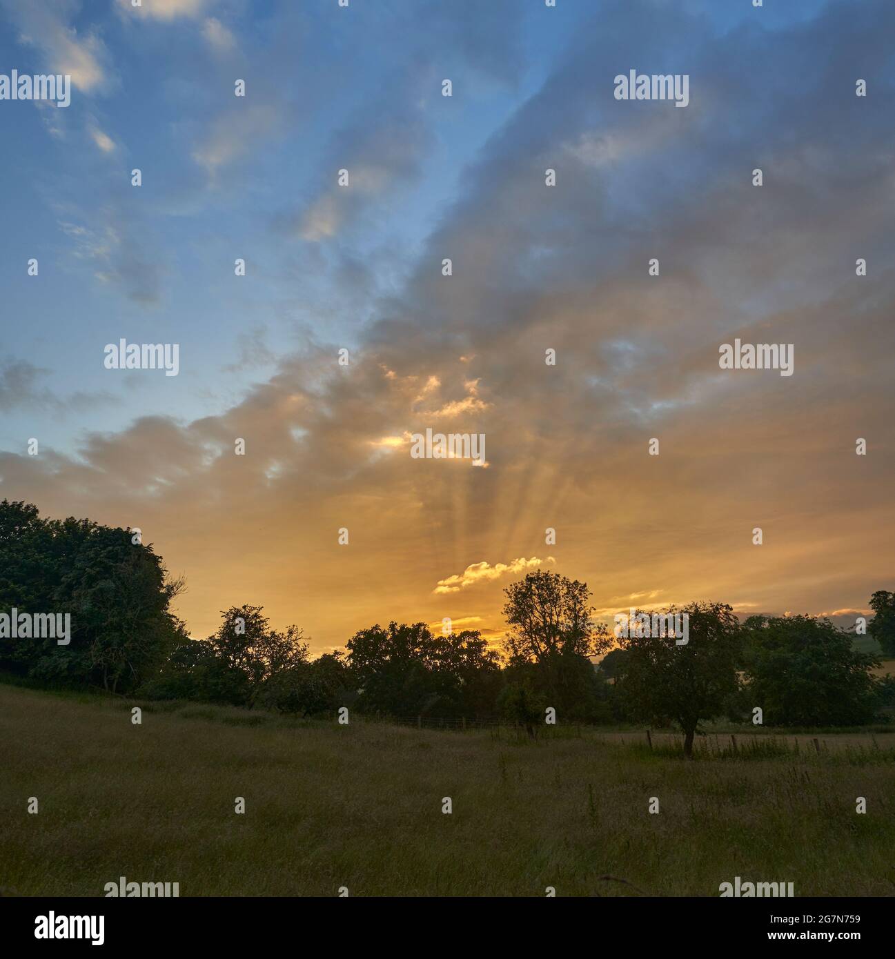 Scottish summer borders hires stock photography and images Alamy