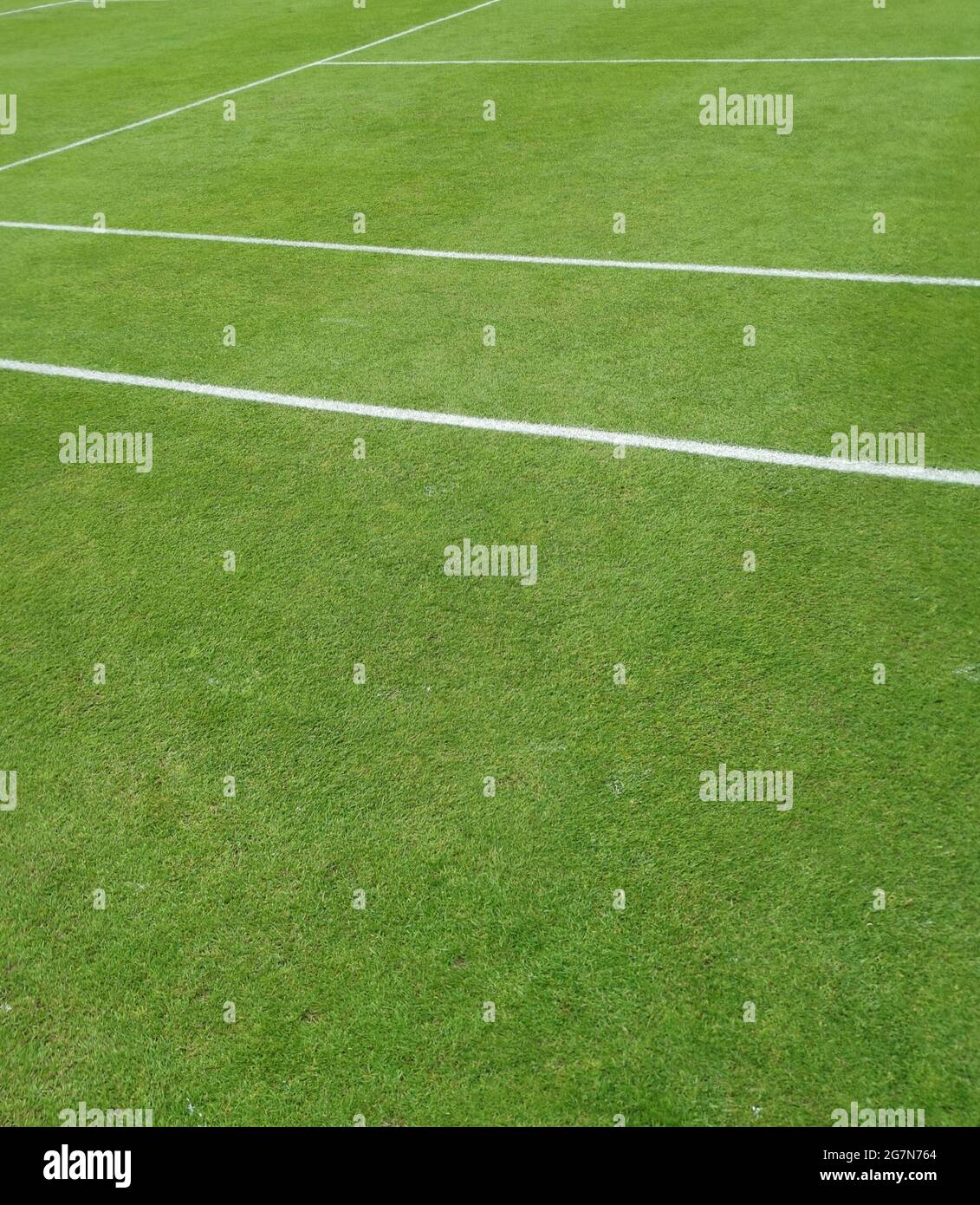 View of grass tennis court and painted white line markings Stock Photo