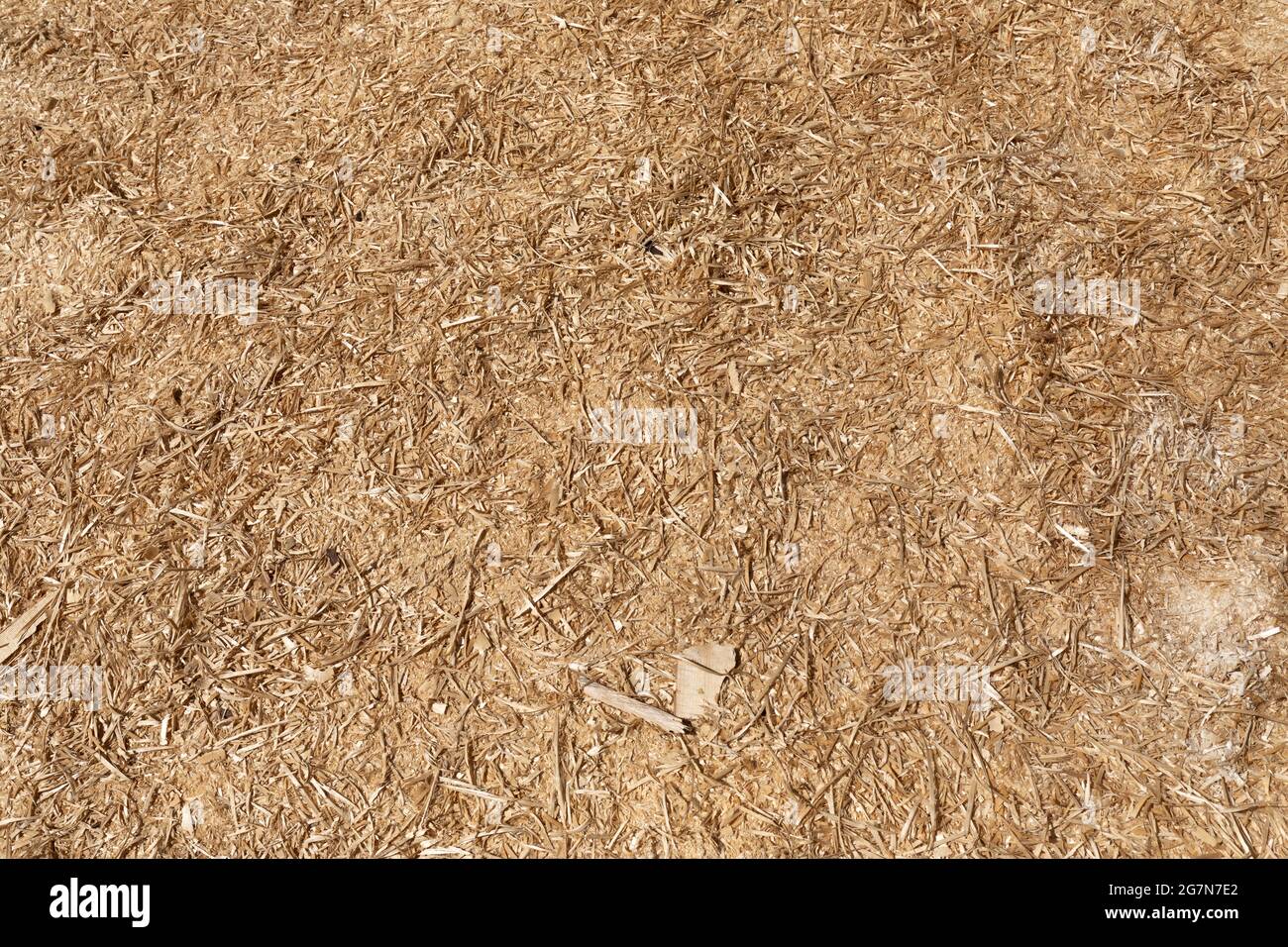 texture from sawdust from the wood industry Stock Photo