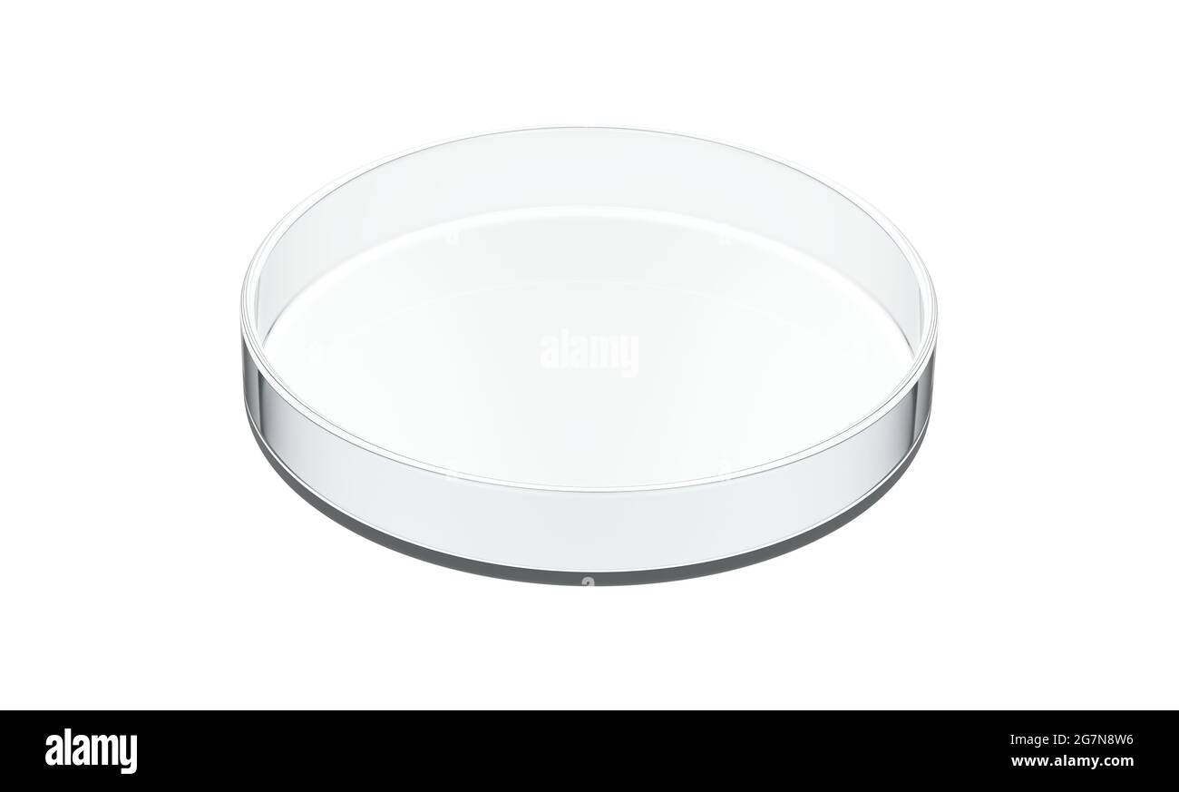 Empty Petri dish isolated on white background. 3d illustration Stock Photo Alamy