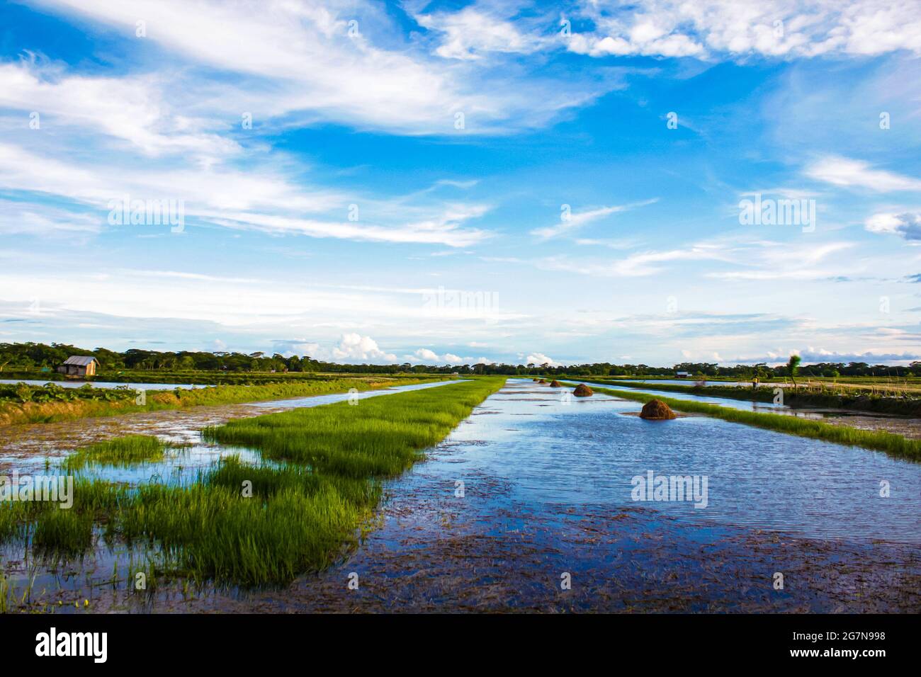 Bangladeshi Beautiful landscape view,countryside image, Stock Photo