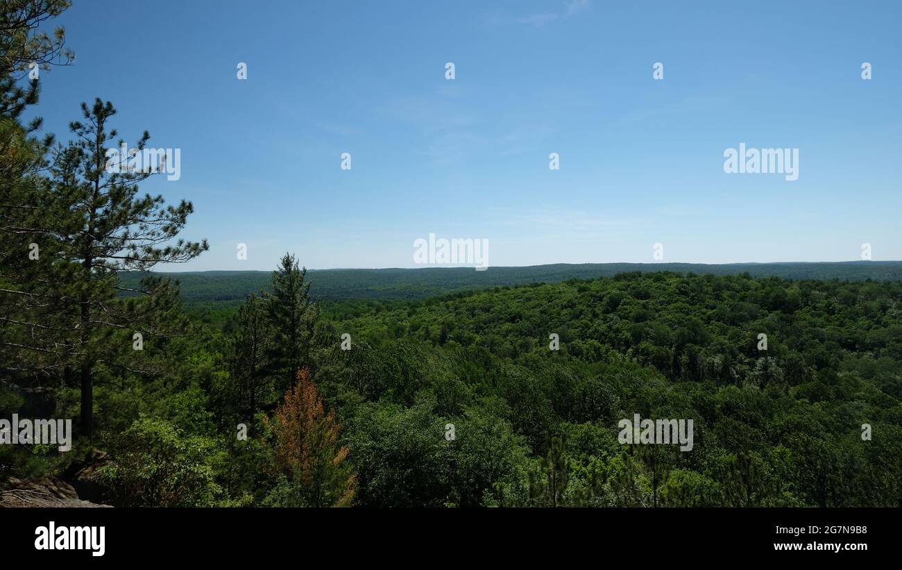 Aerial shot of a green dense forest during a sunny day Stock Photo - Alamy