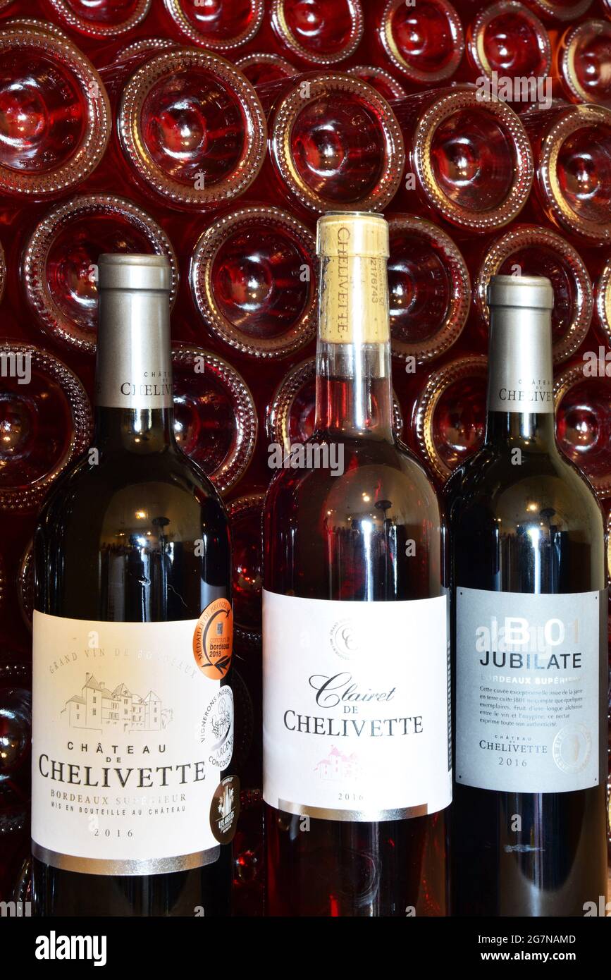 FRANCE. GIRONDE (33). ENTREDEUXMERS. WINE ROUTE ON SAINTEMILION