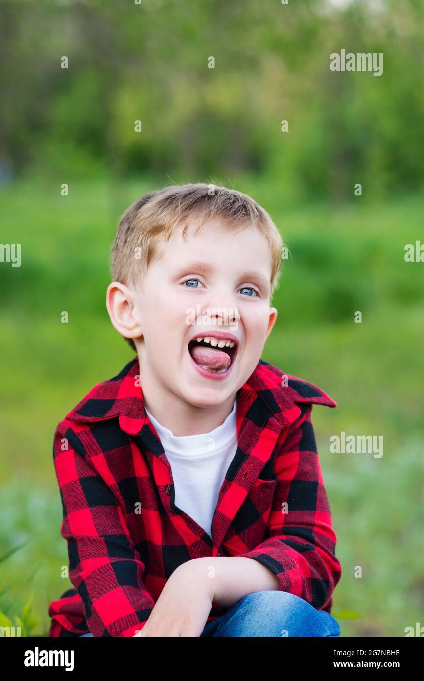 Close-up portrait of a mischievous little boy on nature background. The ...