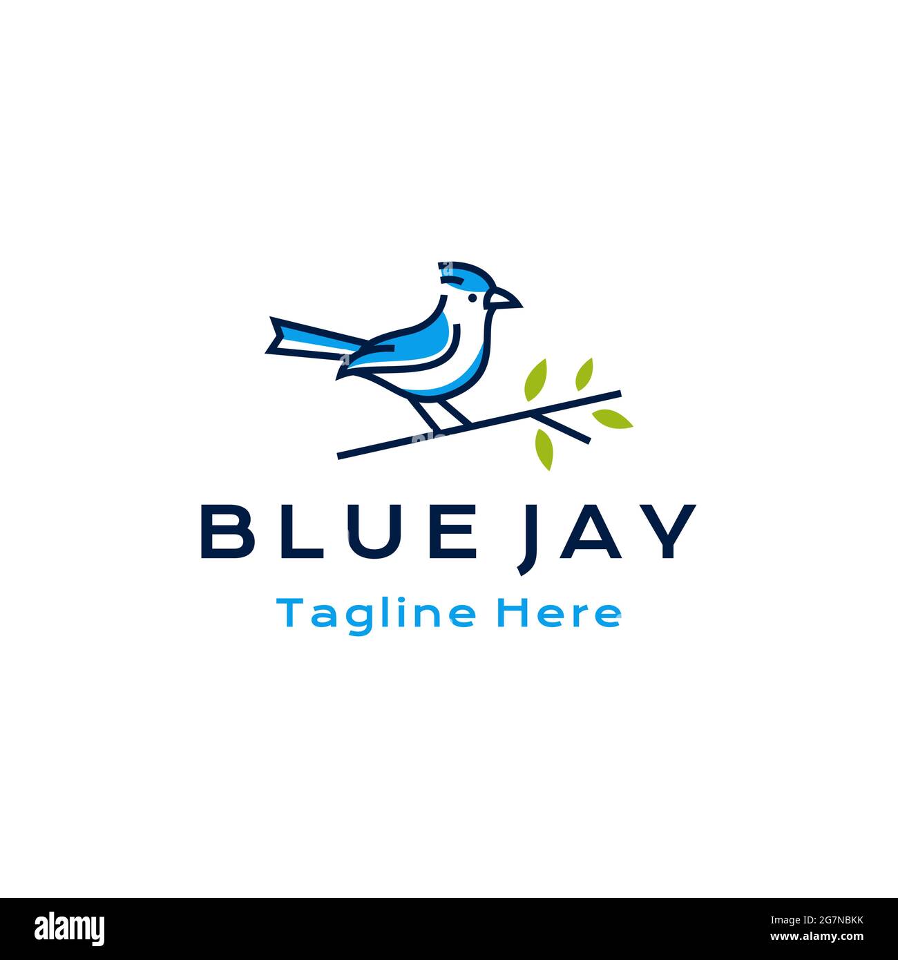 Blue jay bird logo design vector illustration Stock Vector Image & Art