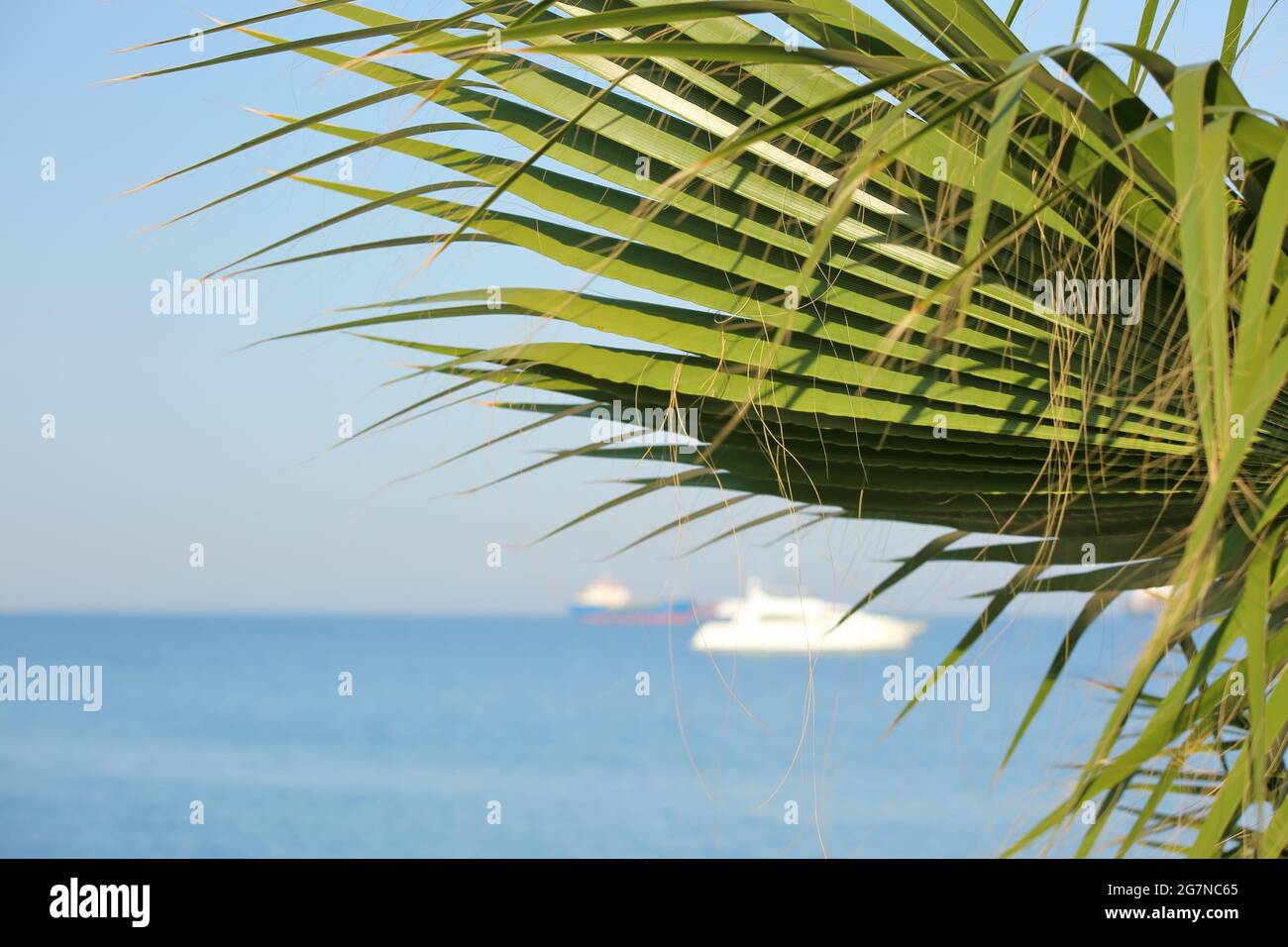 Palm tree on exotic paradise island, blue sea ocean boats yachts on horizon. Stock Photo