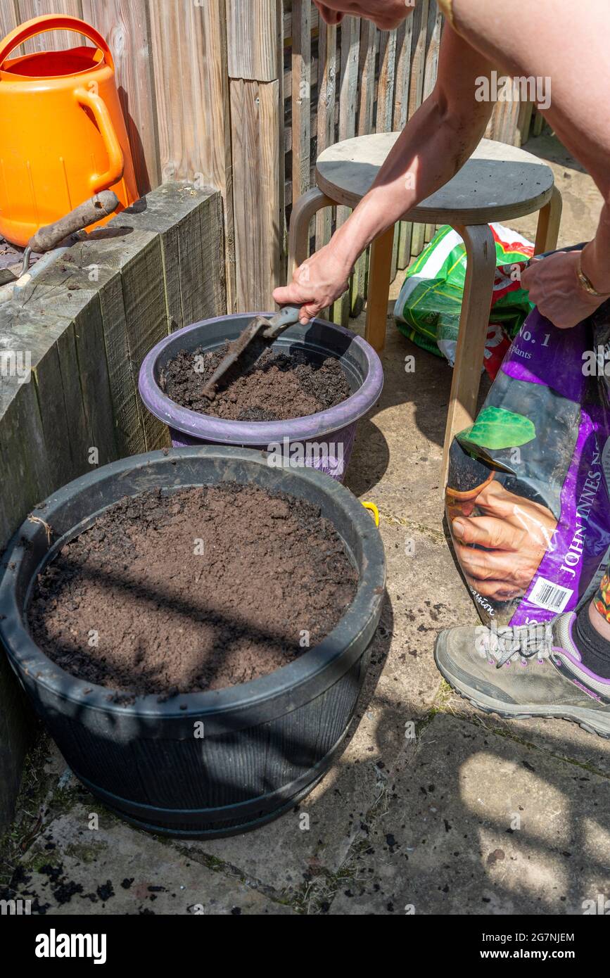In her sunny summer back yard planting small colorful flowers in garden plant pots with moist