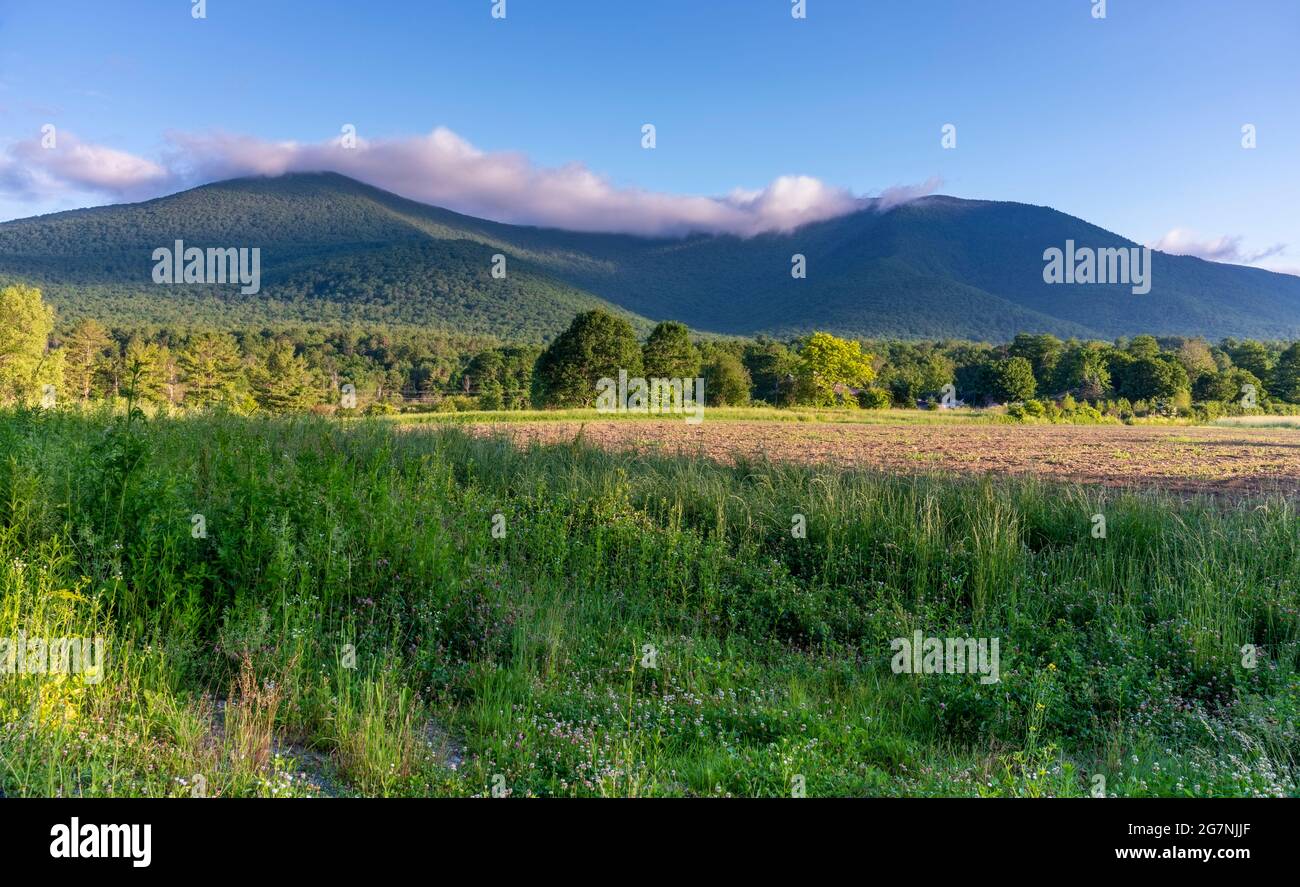 Morning scene of the Taconic Mountains in the summer from Manchester, Vermont. Stock Photo