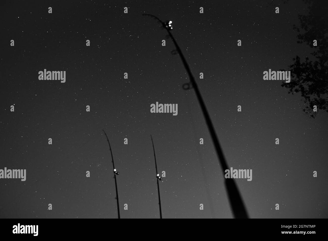 Low angle shot of fishing rods on the shore under a starry sky at night Stock Photo