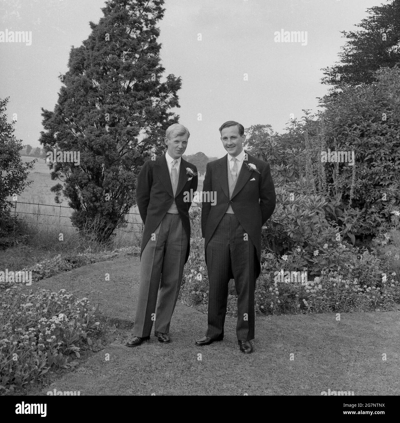1960s, historical, a groom and father, standing together for a photo outside on a lawn, wearing traditional male wedding outfits of morning suits, England, UK. Stock Photo