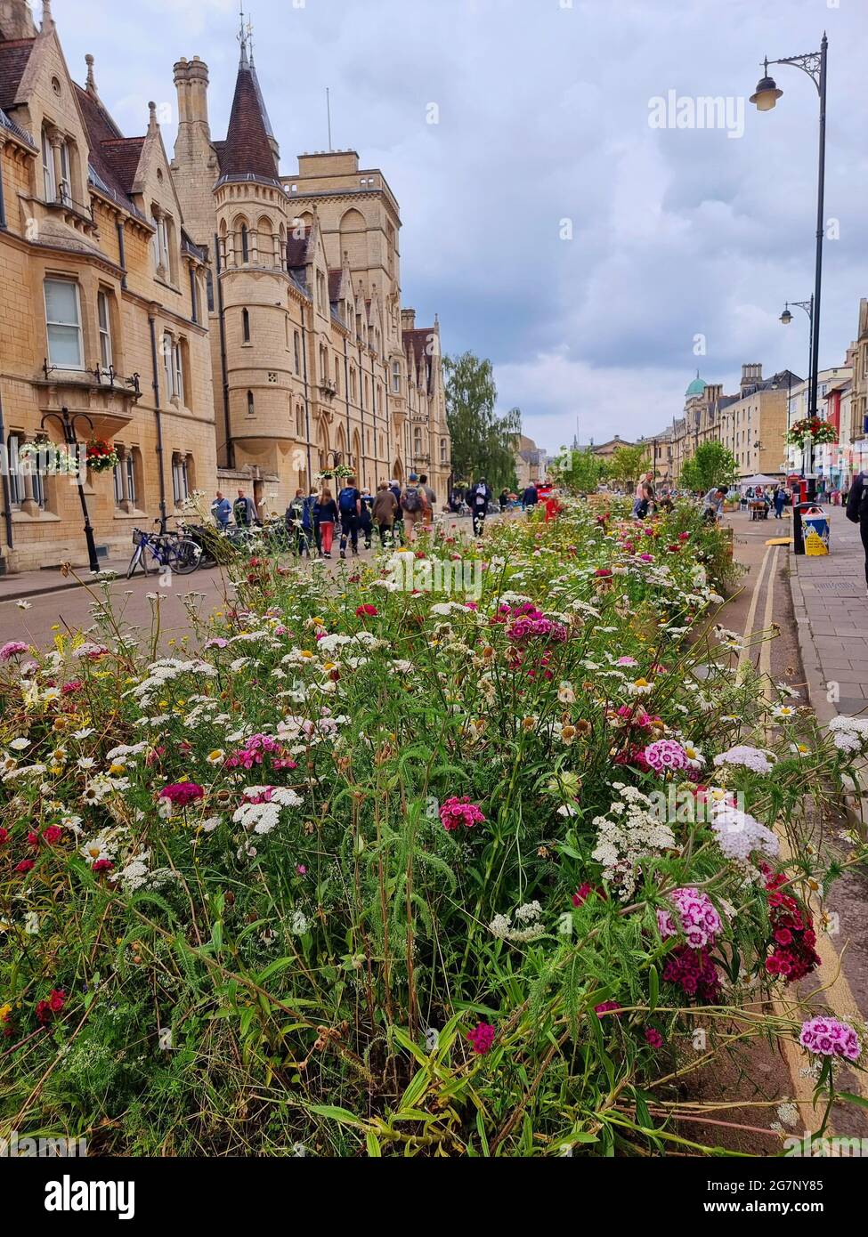 Wild flowers blooming as part of  ‘The Meadow project’ in Broad Street, Oxford, England and framing the historic buildings over there. Broad Street is a wide street in central Oxford, England, just north of the former city wall. The street is known for its bookshops, including the original Blackwell's bookshop at number 50, located here due to the University of Oxford. Among residents, the street is traditionally known as The Broad. United Kingdom. Stock Photo
