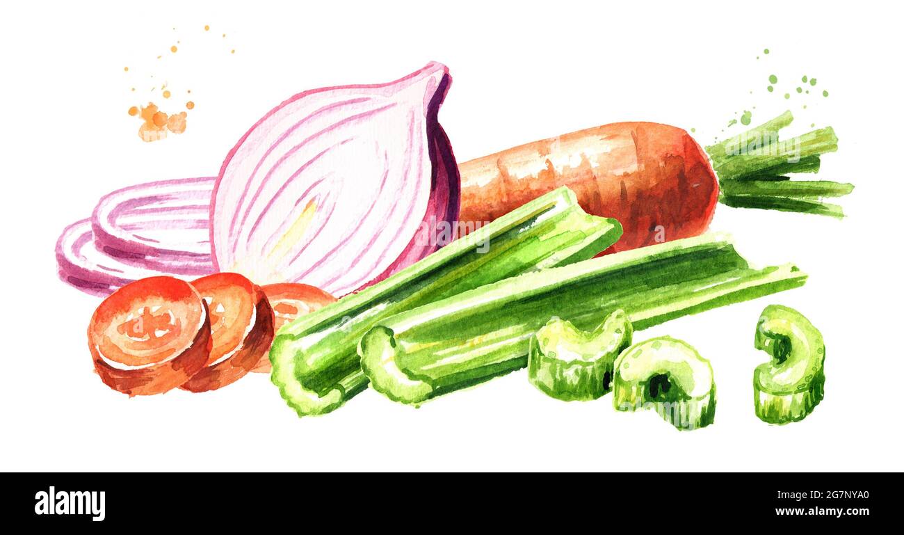 Onions, celery and carrots composition. Soffritto or Mirepoix. Watercolor hand drawn