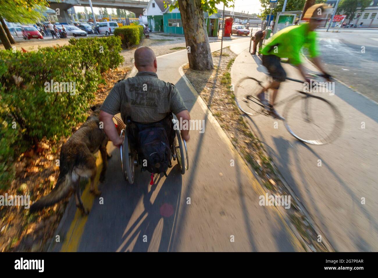 Daily life in a wheelchair Stock Photo Alamy